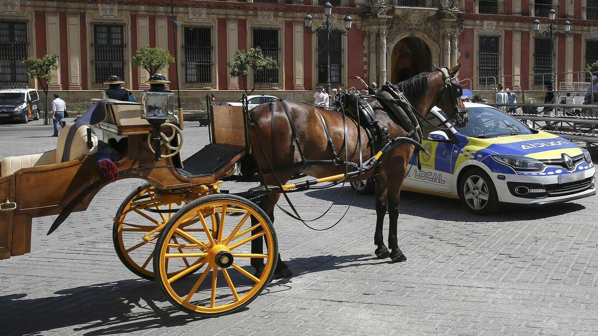 Un coche de caballos y una patrulla policial en la Plaza de la Virgen de los Reyes de Sevilla, en julio del 2016.