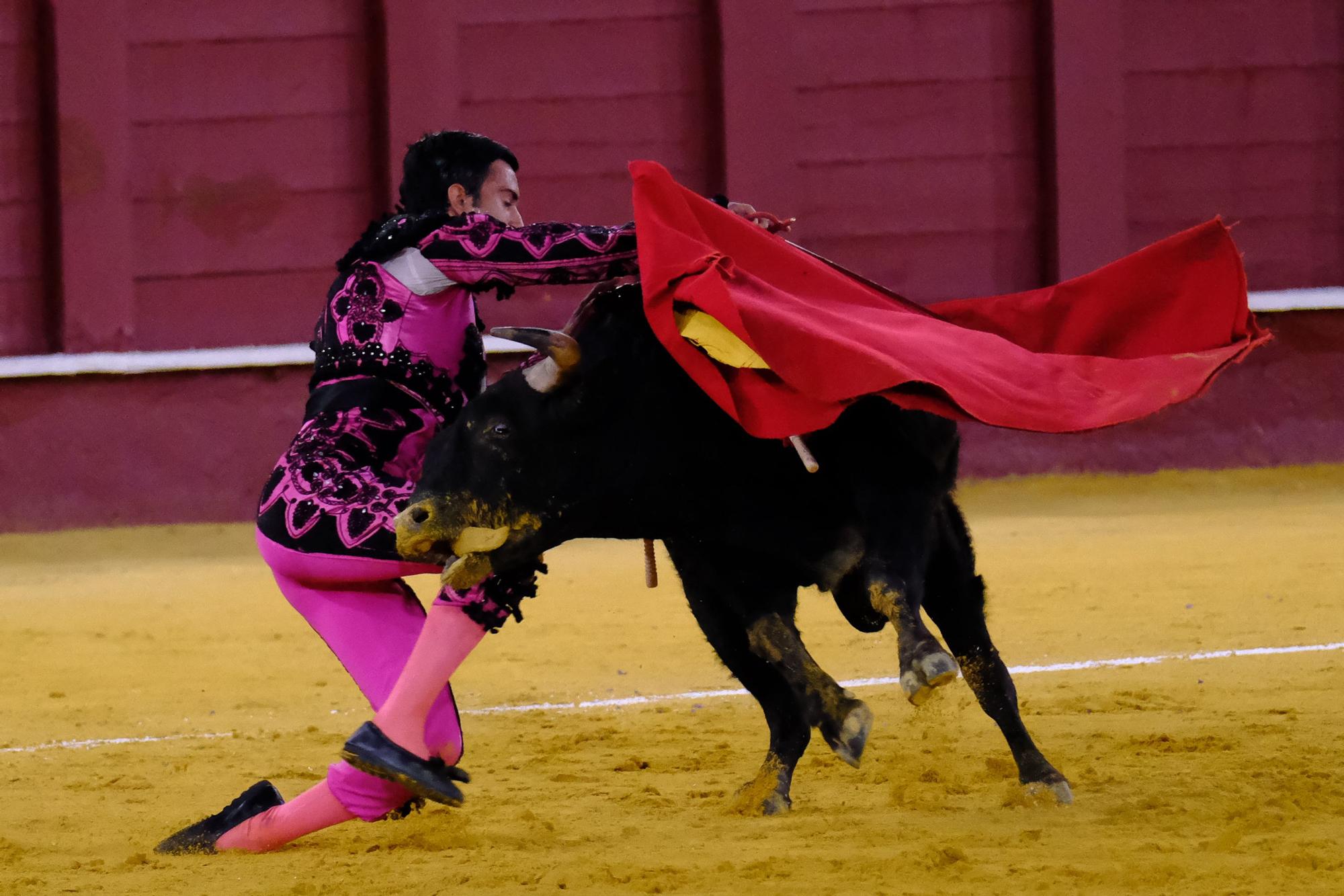 Toros en la Feria I Octava corrida de abono en la Malagueta:  2ª Semifinal de las Escuelas Taurinas