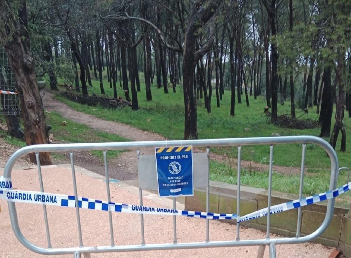 Tancament de la pineda de la pujada del Castell