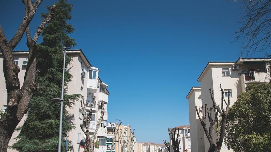 Mérida altera el tráfico este lunes en una importante avenida por obras en un paso de peatones sobreelevado