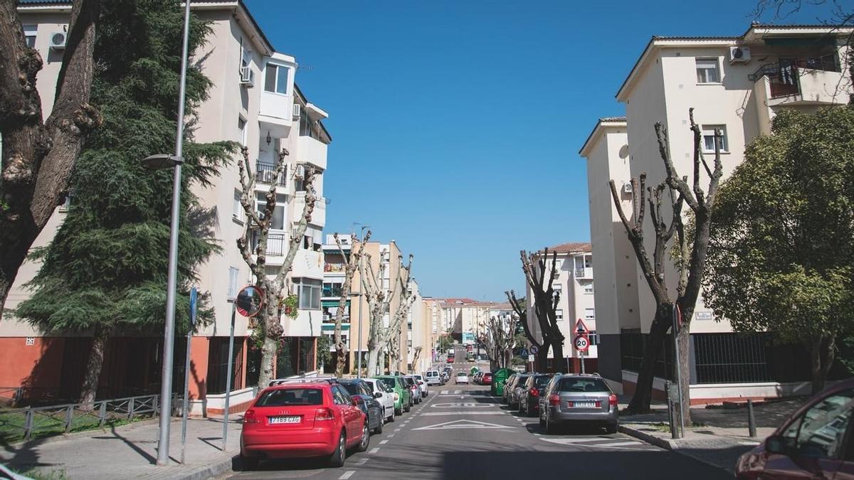 Avenida de Cristóbal Colón.