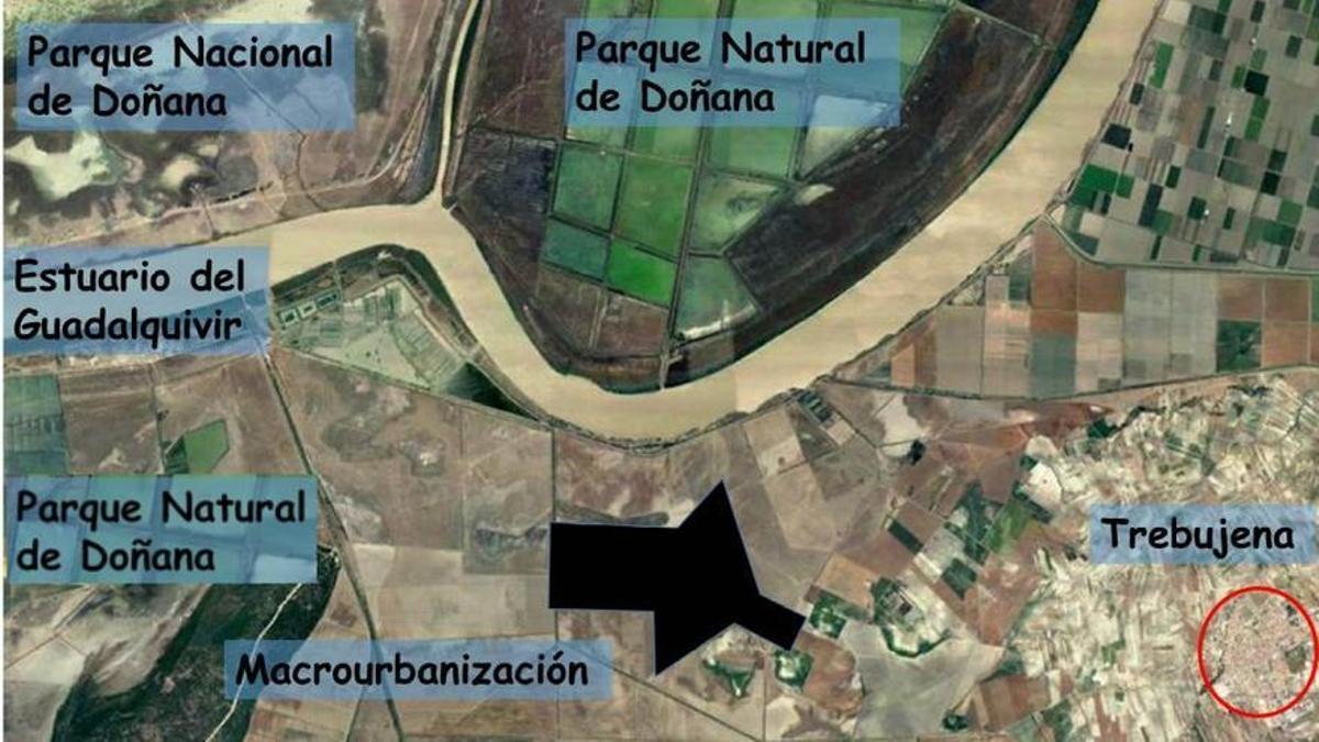 Proyecto de una macrourbanización en Trebujena (Cádiz) frente al Parque Nacional de Doñana.