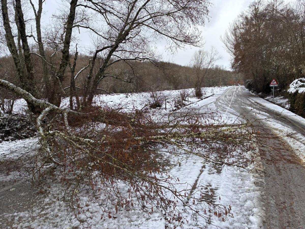 La nieve vuelve a conquistar Sanabria.