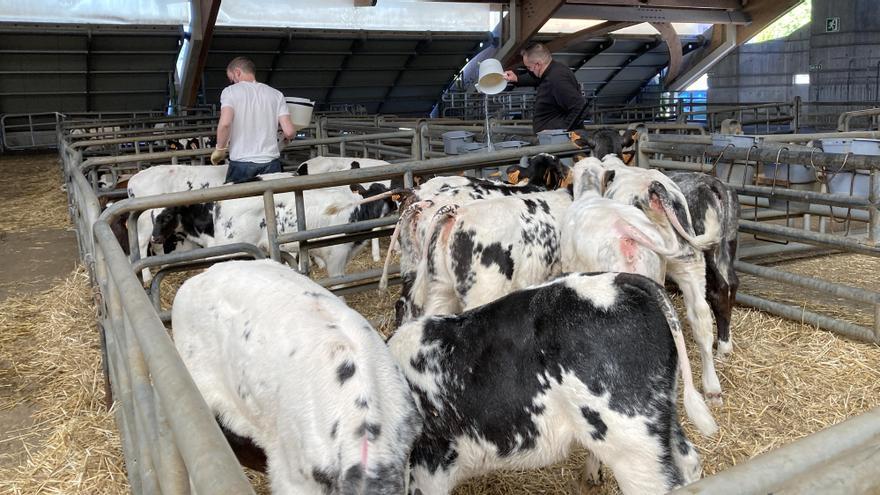 Mercado de ganado de Pola de Siero