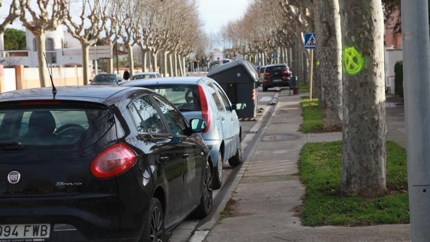 L&#039;actuació de substitució d&#039;arbrat es fa a l&#039;avinguda Marinada.