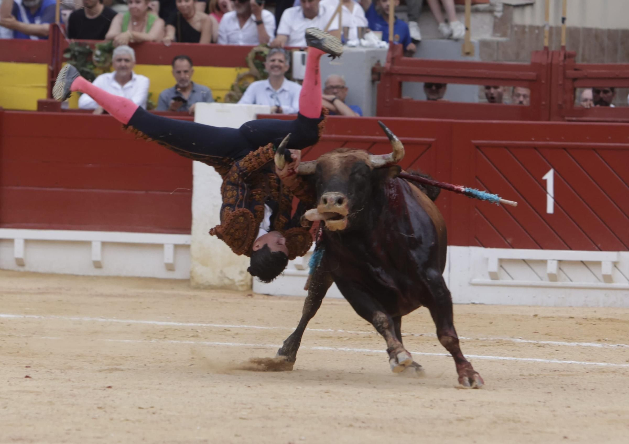 Susto en el cuarto toro de Manzanares en la Feria de Hogueras 2025