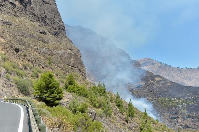 11-08-2019 Artenara. Segundo día del incendio en la cumbre  | 11/08/2019 | Fotógrafo: Andrés Cruz