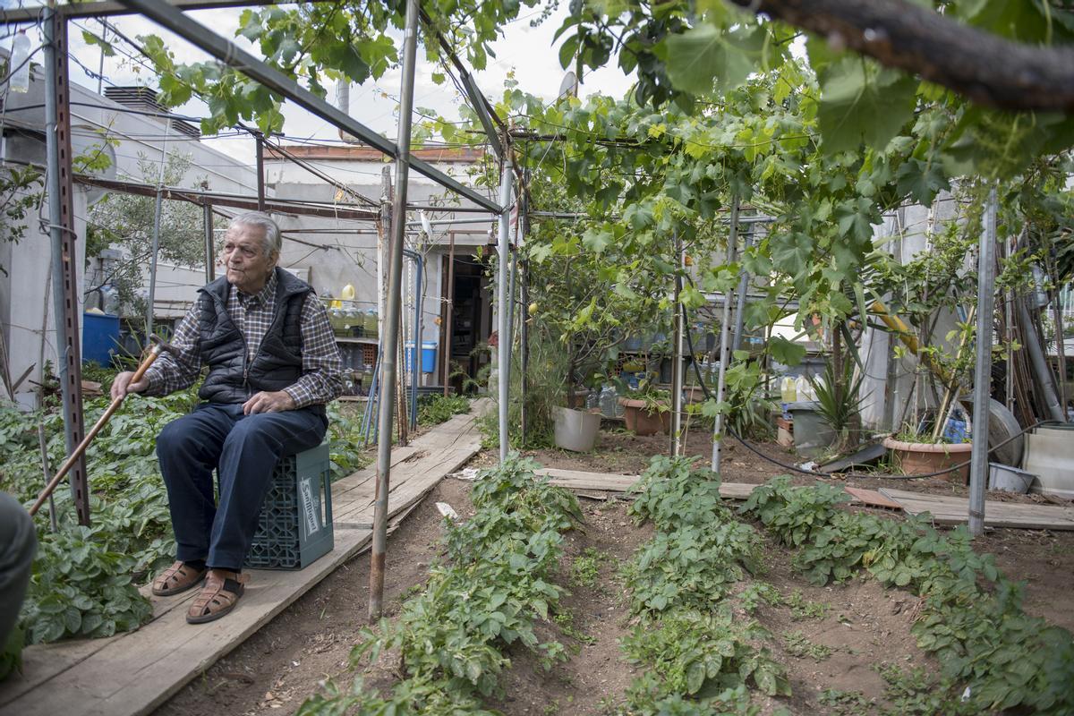 El huerto urbano del centenario Joan Carulla