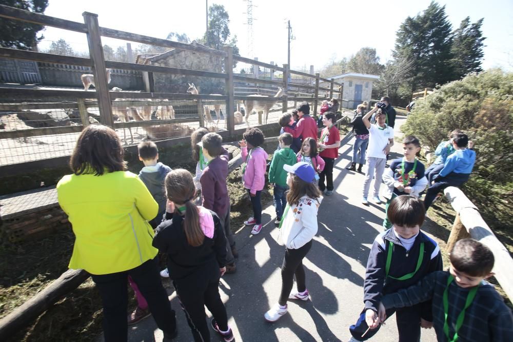 Visita escolar a Vigozoo