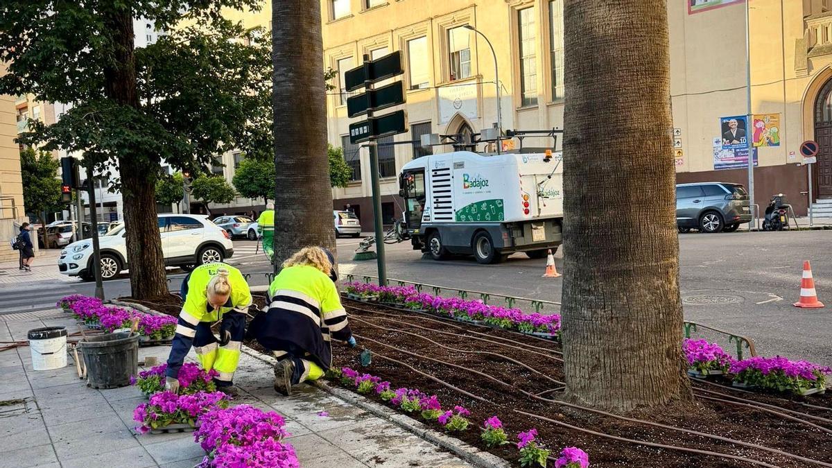 Trabajos en la avenida de Colón.