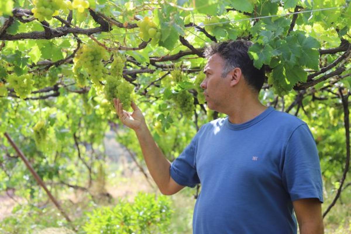 Víctor Lugo, dueño de la bodega Los Berrazales que está muy enfocado en el enoturismo