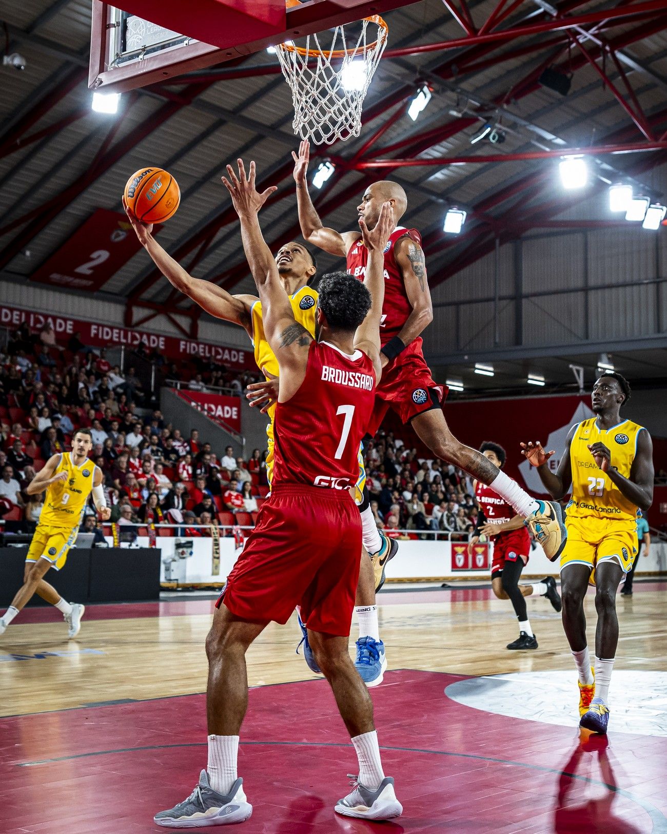 Champions League | Benfica - CB Gran Canaria