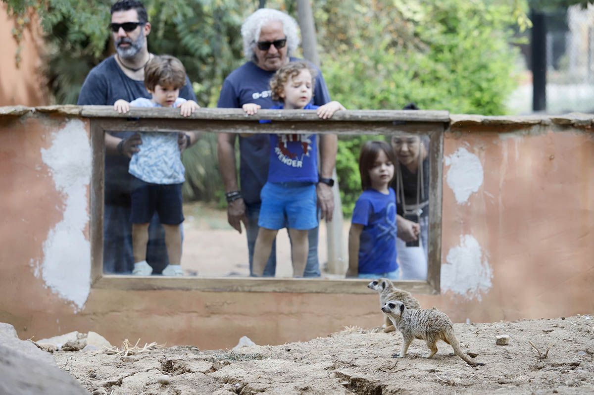 El Zoo de Córdoba reabre sus puertas tras la crisis de la gripe aviar