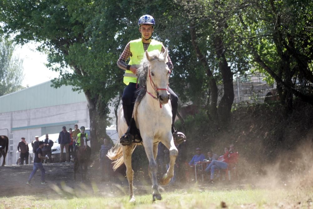 Los caballos comienzan a trotar en Lalín