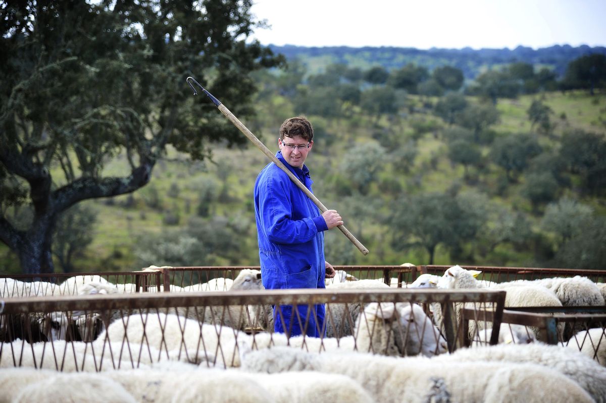 Un ganadero con su ganado ovino en la Reserva de la Biosfera Tajo Internacional.