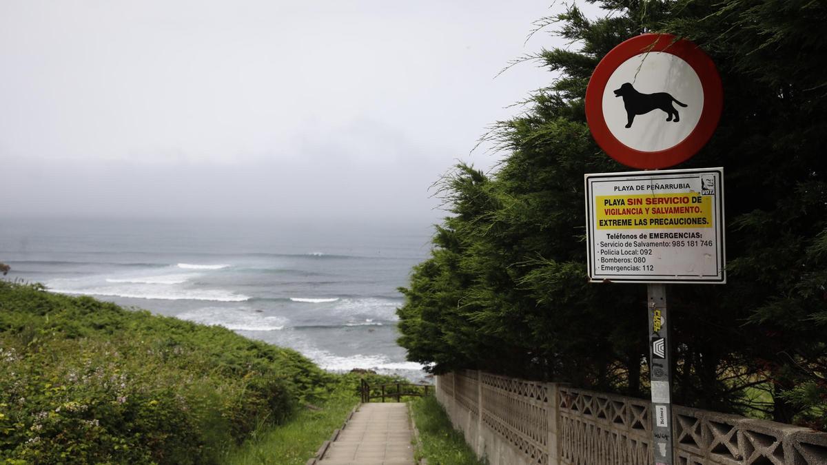 Entorno de la playa de Estaño.