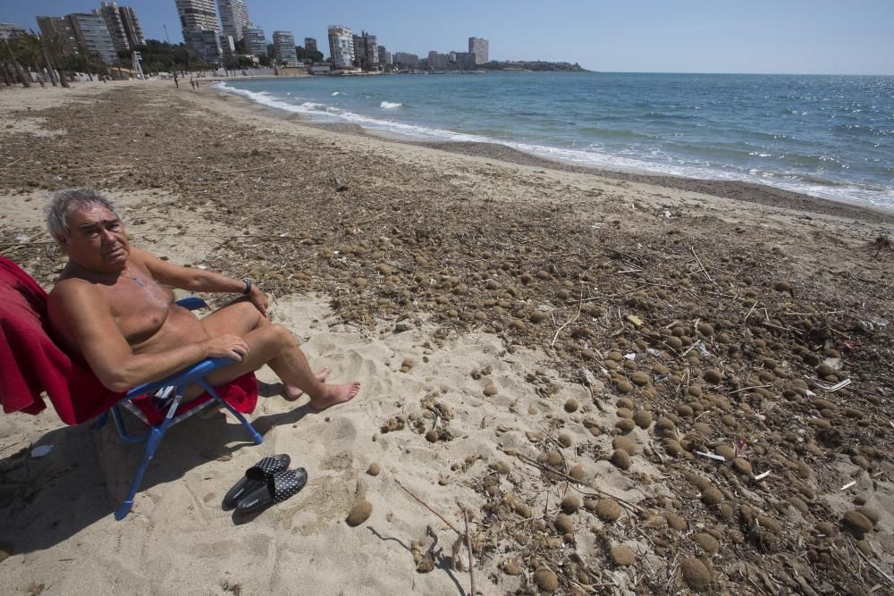 Suciedad en la playa de la Albufereta tras la riada