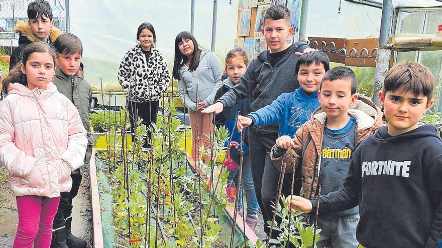 Alumnos del equipo de Os Sachadores junto a su bancal de alubias.