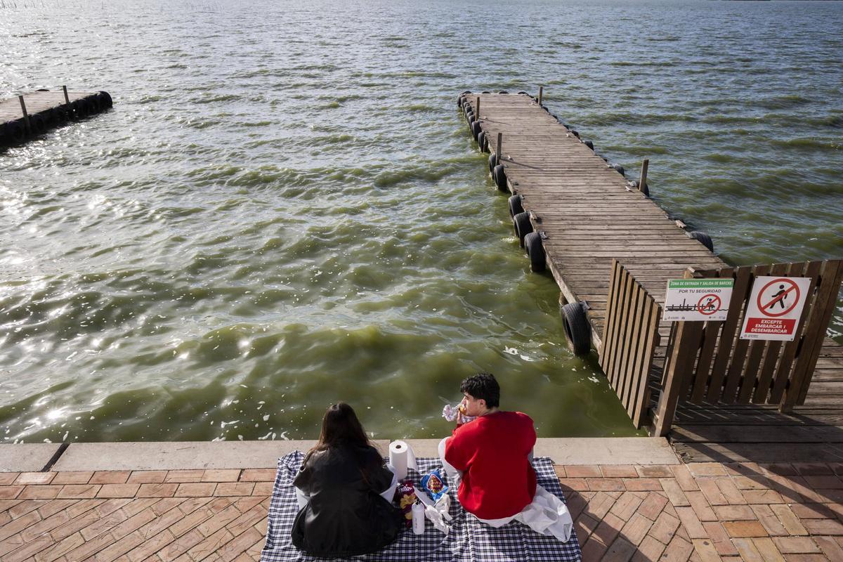 Agua verde en l'Albufera en el embarcadero de la Gola del Pujol