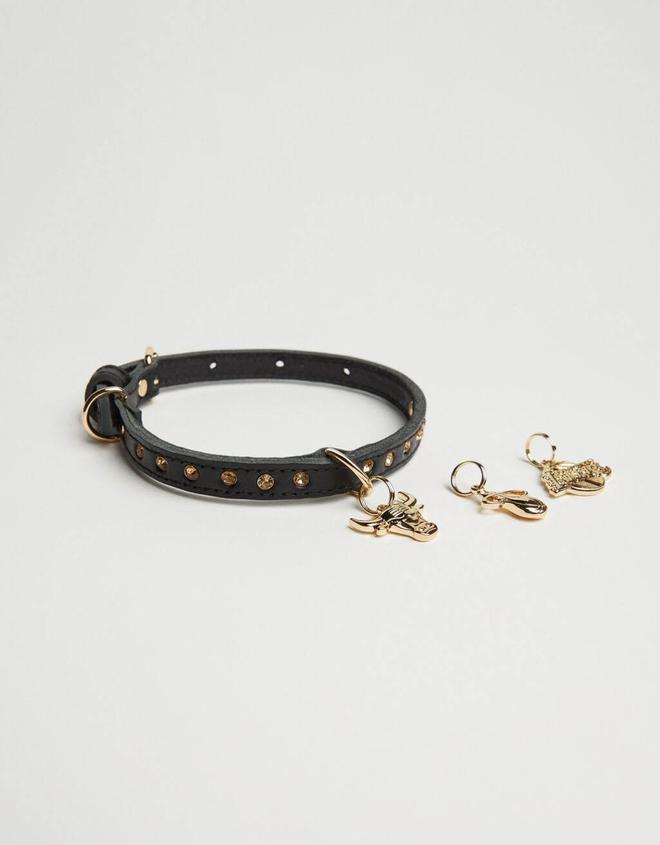 Collar de perro con charms
