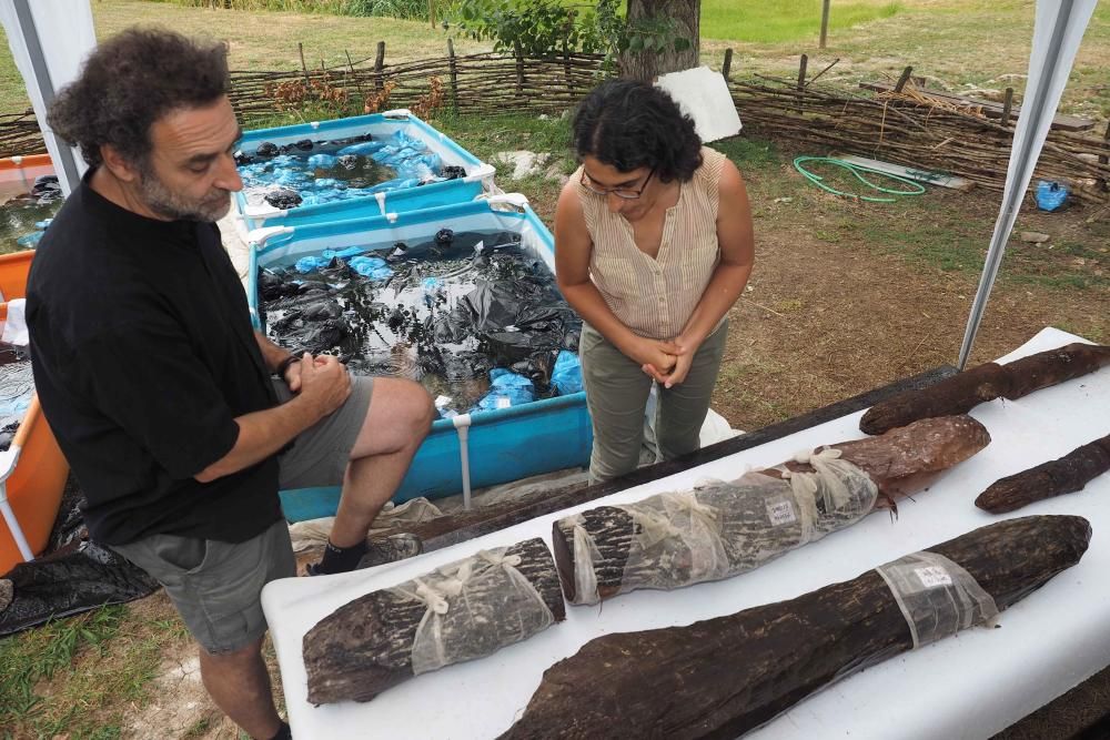 Presentaci   dels resultats de les excavacions arqueologiques del jacimient neol  tic de La Draga de Banyoles.