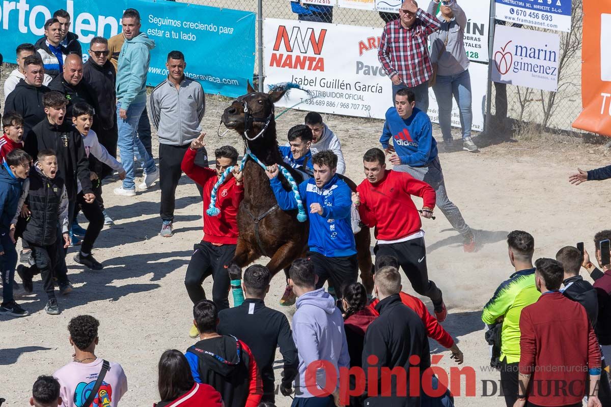 Convivencia Caballos del Vino de la Peña Artesano