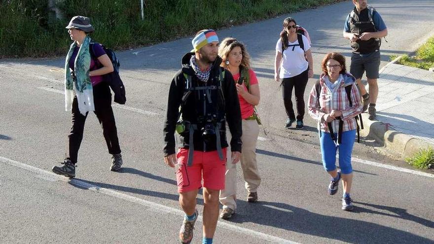 Peregrinos durante un tramo del Camiño Portugués. // Rafa Vázquez