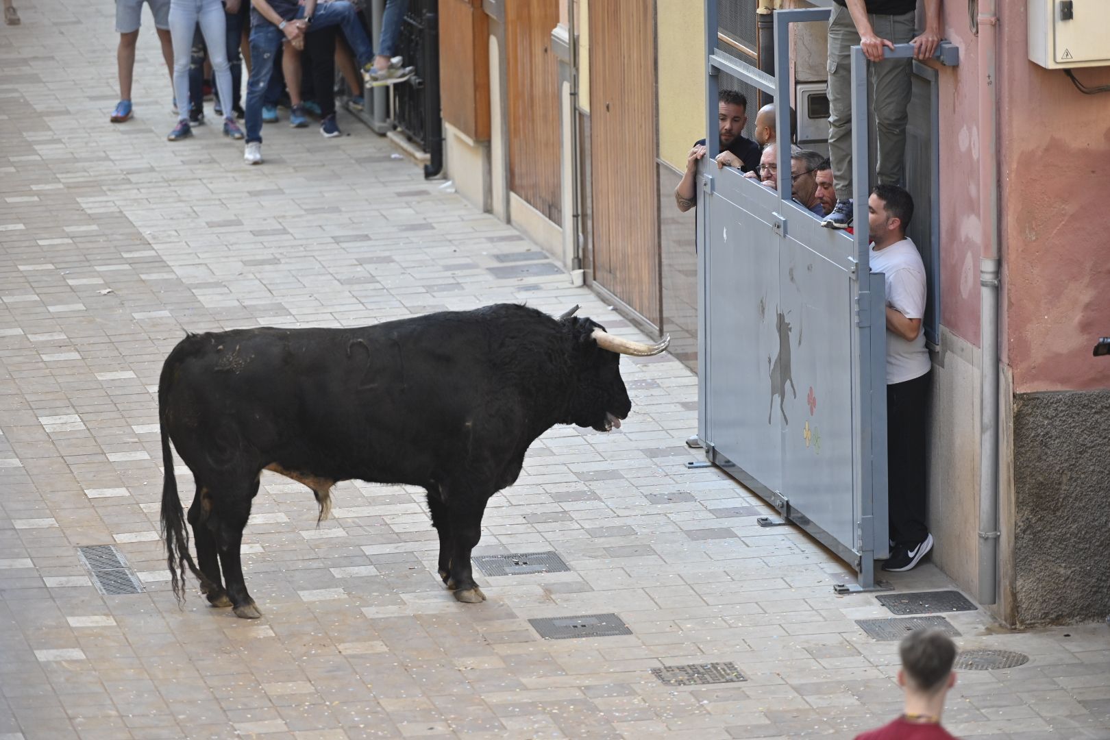 Galería | Primera tarde de toros en Almassora