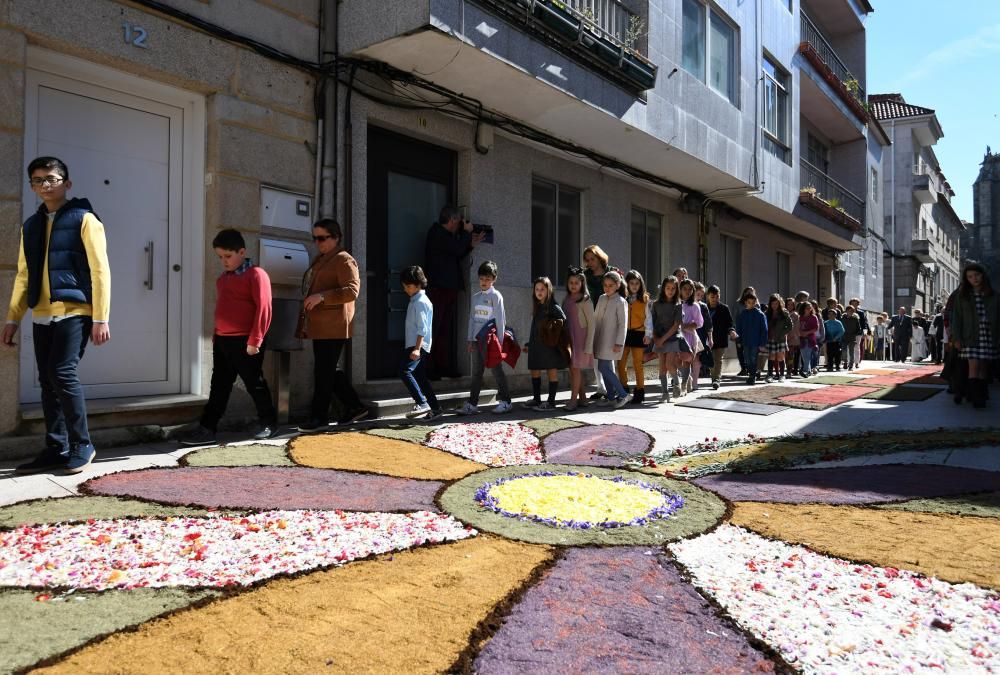 Un tapiz florar para engalanar el paso del "Viático" en Pontevedra