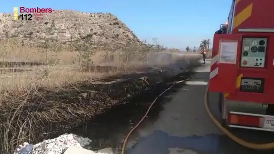 Un incendio arrasa tres hectáreas de cañas y moviliza medios aéreos en Granja de Rocamora