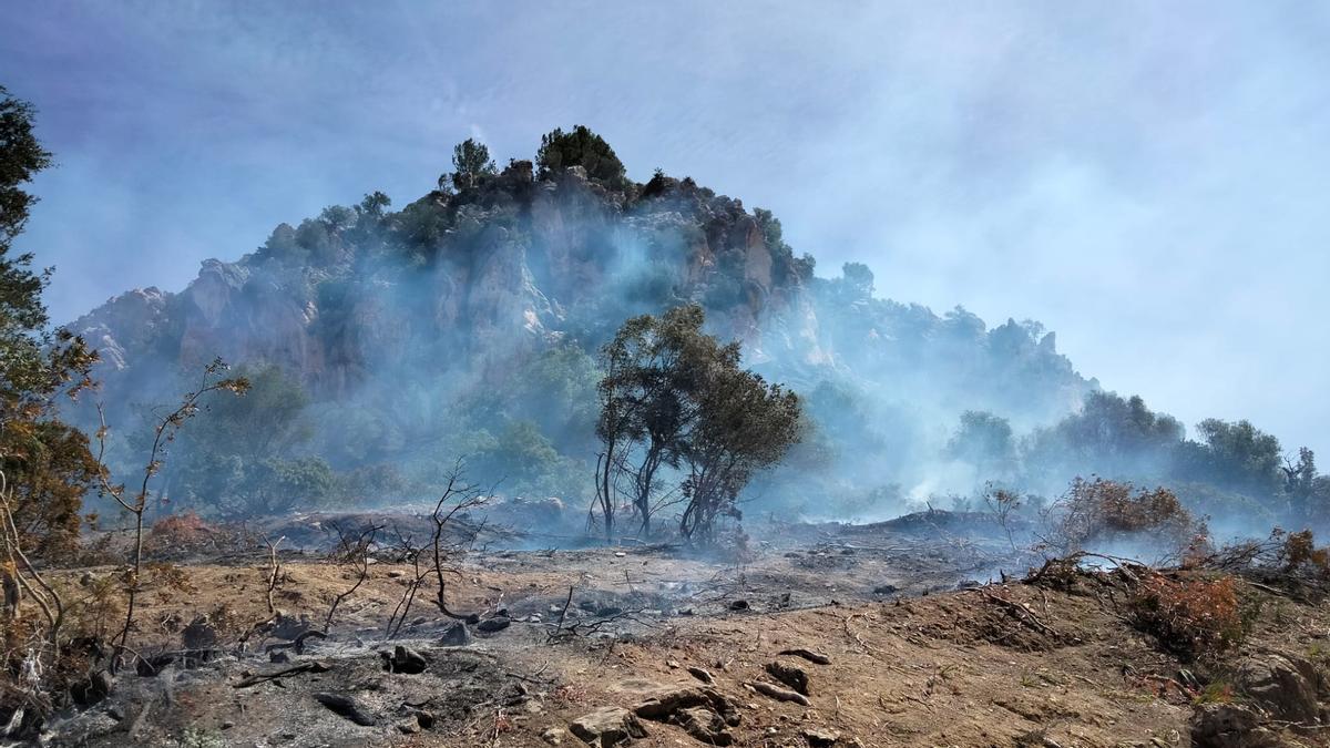 Declarado un incendio en Son Bosc (Andratx).