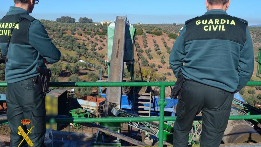 La Guardia Civil detiene al gerente y propietarios de una almazara por comerciar con aceitunas robadas