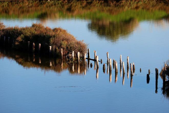 Salinas de Samouco, Alcochete