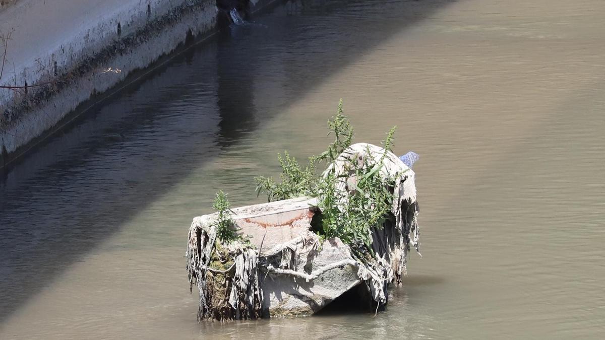 La CHS insiste en que el Ayuntamiento debe encargarse de la limpieza del cauce