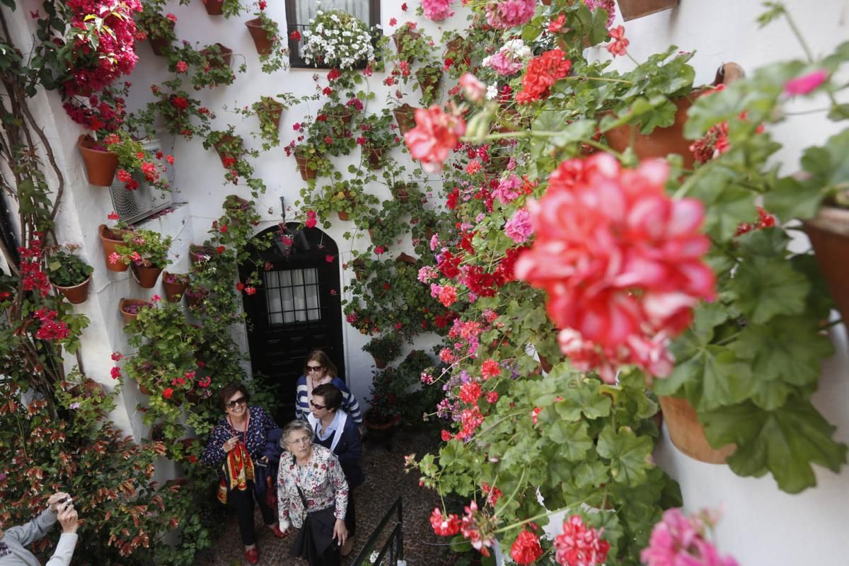 Fotogalería / Una multitud visita los patios el último sábado de la fiesta