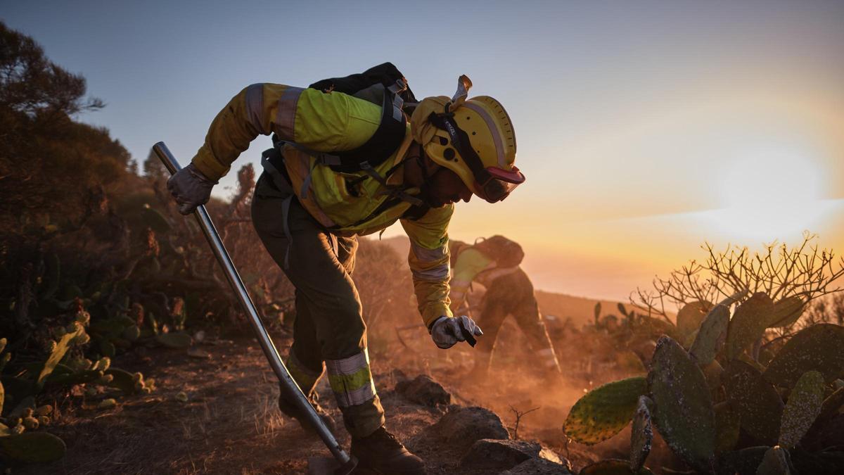Brigadas contraincendios trabajan en las medianías de la isla de La Palma en tareas de prevención de incendios.