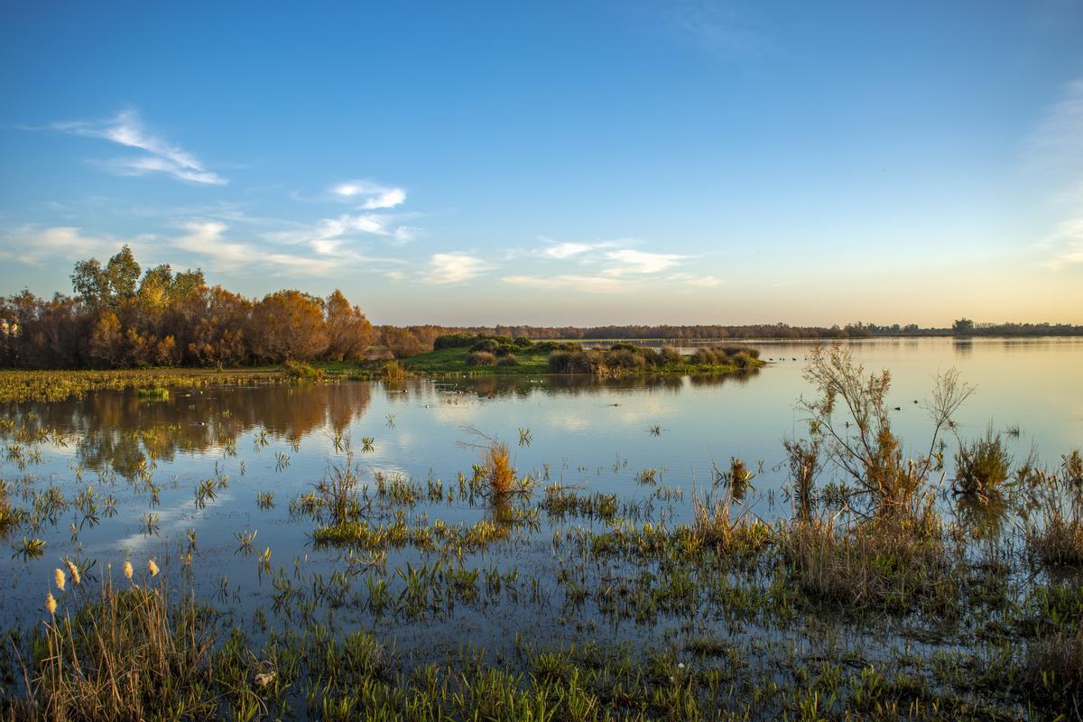 Doñana es el humedal más importante de Europa y uno de los ecosistemas más valiosos del mundo.