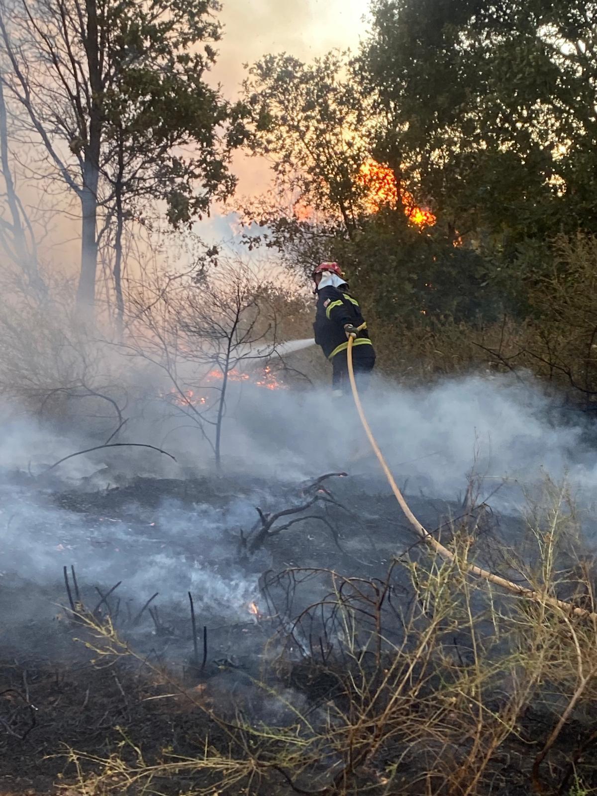 GALERÍA | Incendio forestal en Rábano de aAliste GALERÍA | Incendio forestal en Rábano de aAliste