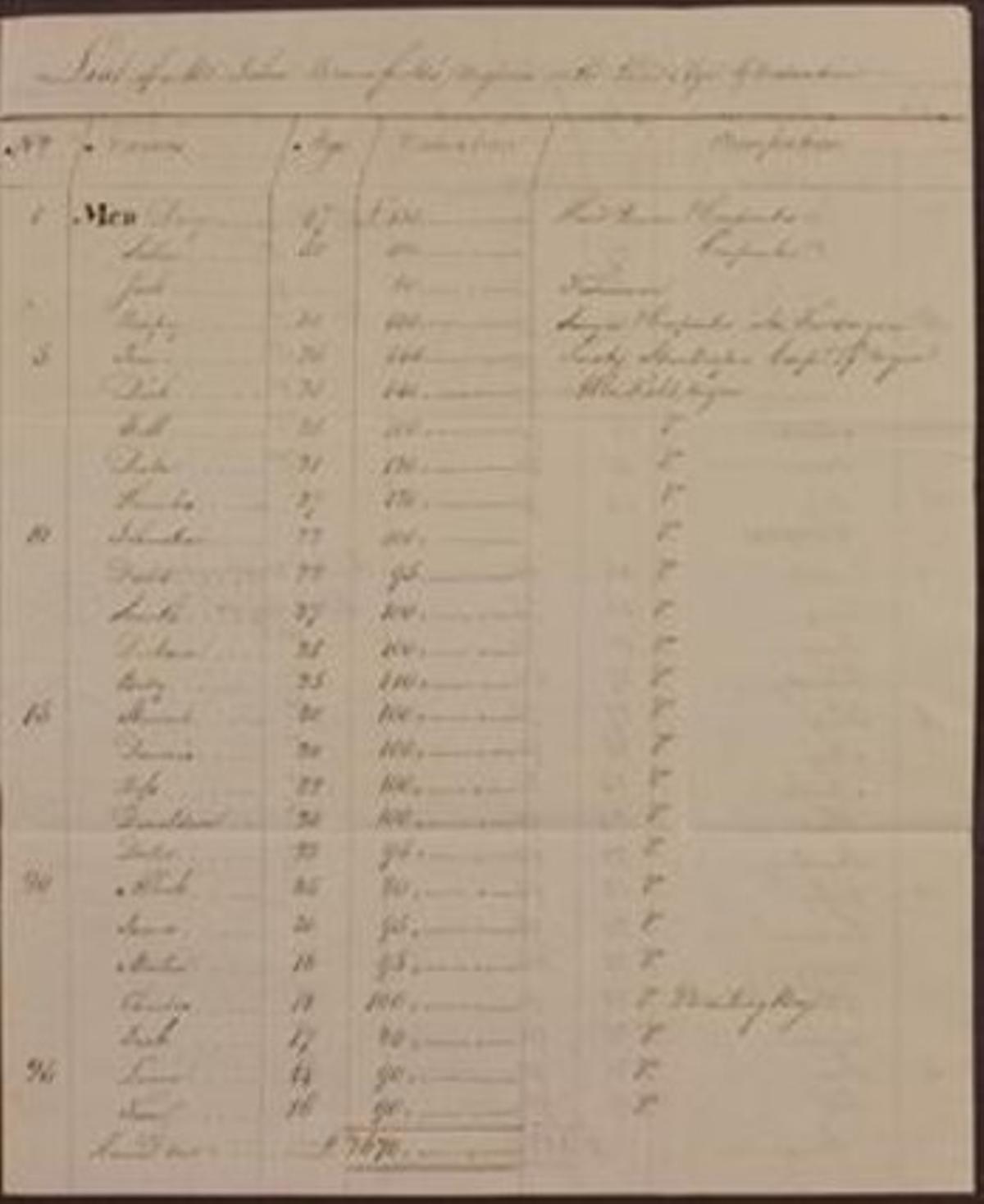 EL MERCADEIG3 Un dels documents disponibles, amb una petita descripció del potencial dels esclaus, nom, edat i cotització.
