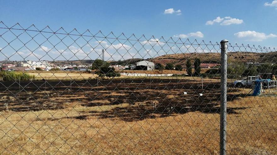 El entorno del pinar en Navalmoral sufre otro incendio en menos de dos semanas