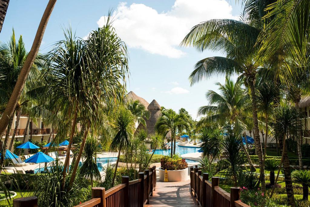 The Reef Coco Beach, naturaleza caribeña sin salir del hotel.