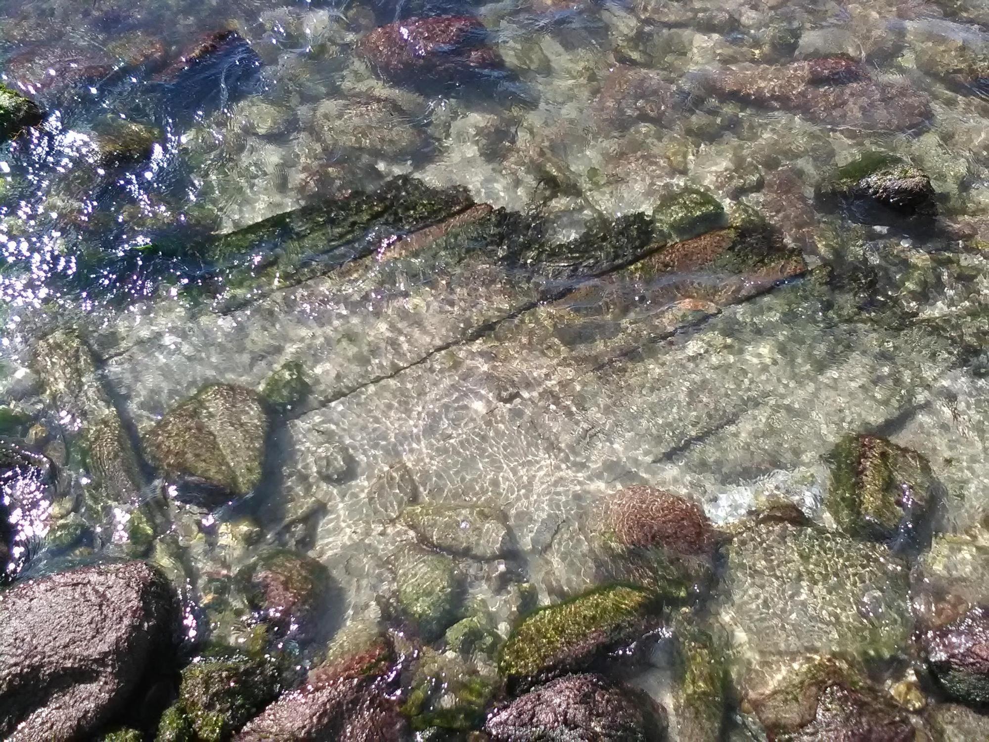 Restos de madeira do pecio que quedou ao descuberto na praia de Arnela, en Corme.