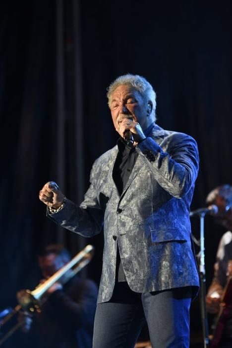 Concierto de Tom Jones en Murcia