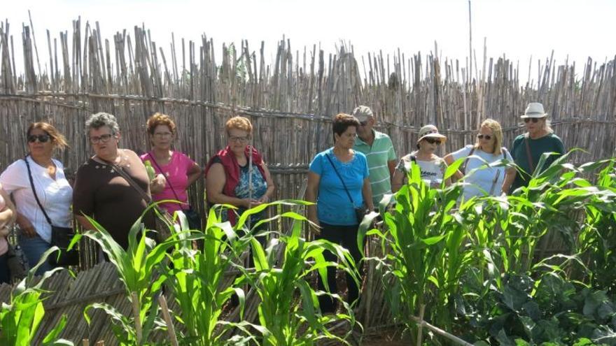 Santa Lucía forma a los agricultores en el manejo de productos  fitosanitarios - La Provincia