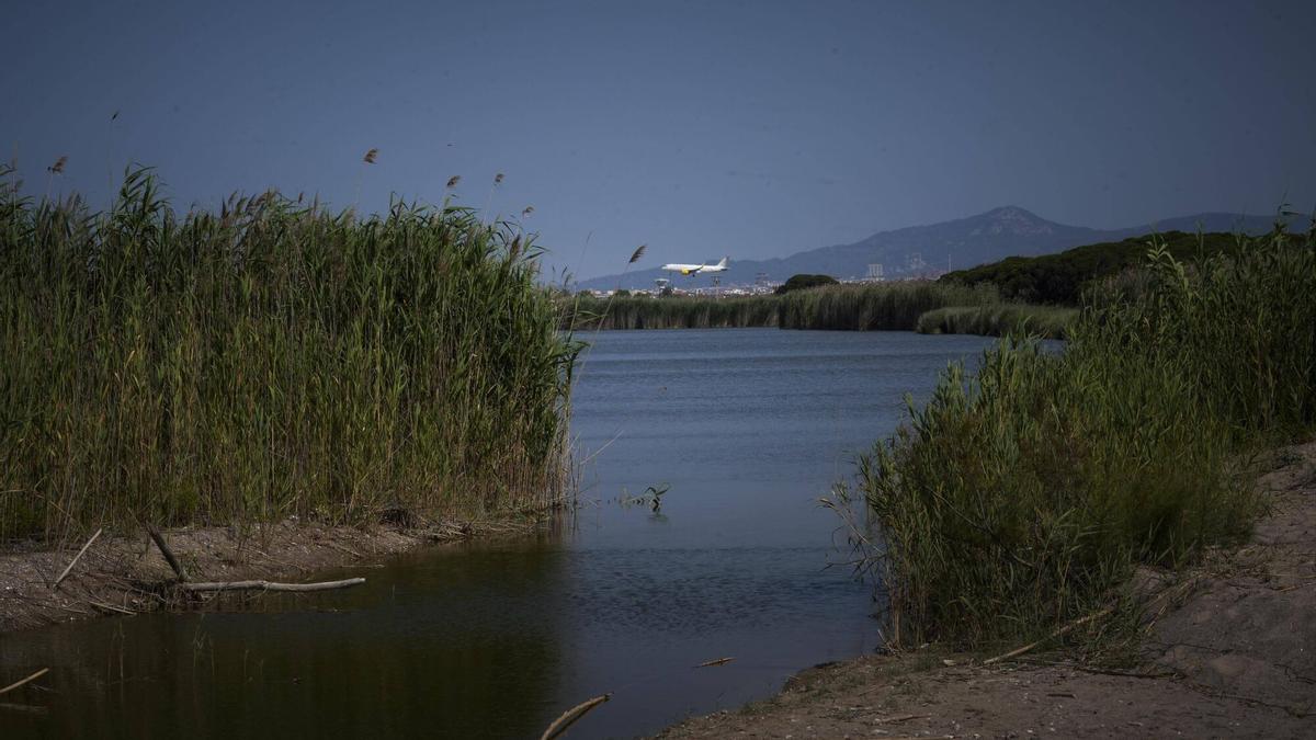 La ampliación del aeropuerto de Barcelona-El Prat podría reduce casi 90 metros la afectación de La Ricarda