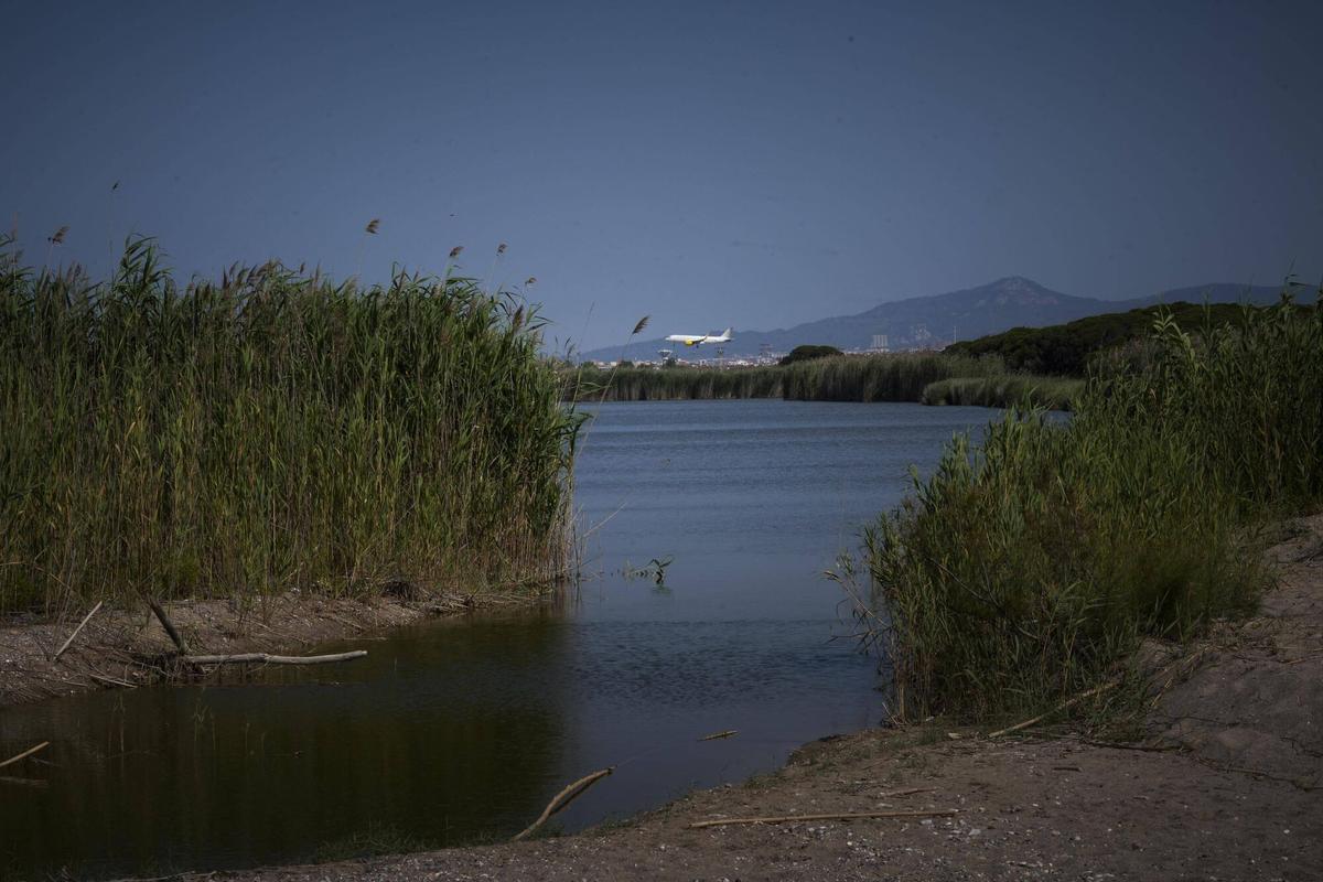 El Govern crearà 270 noves hectàrees protegides per convèncer Europa de l’ampliació de l’aeroport