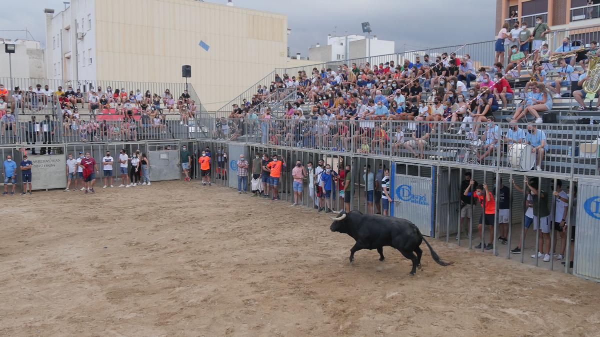 Numerosos aficionados acudieron ayer a ver el primer toro cerril que se exhibe en el municipio desde el inicio de la pandemia.