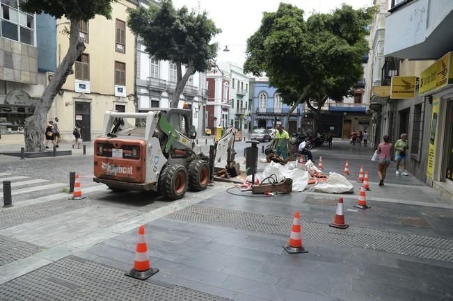 27/07/16. LAS PALMAS DE GRAN CANARIA.- ARBOLES ...