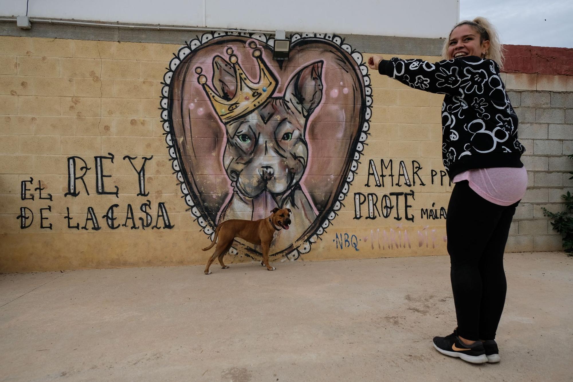 La Protectora de Animales de Málaga, a finales de octubre