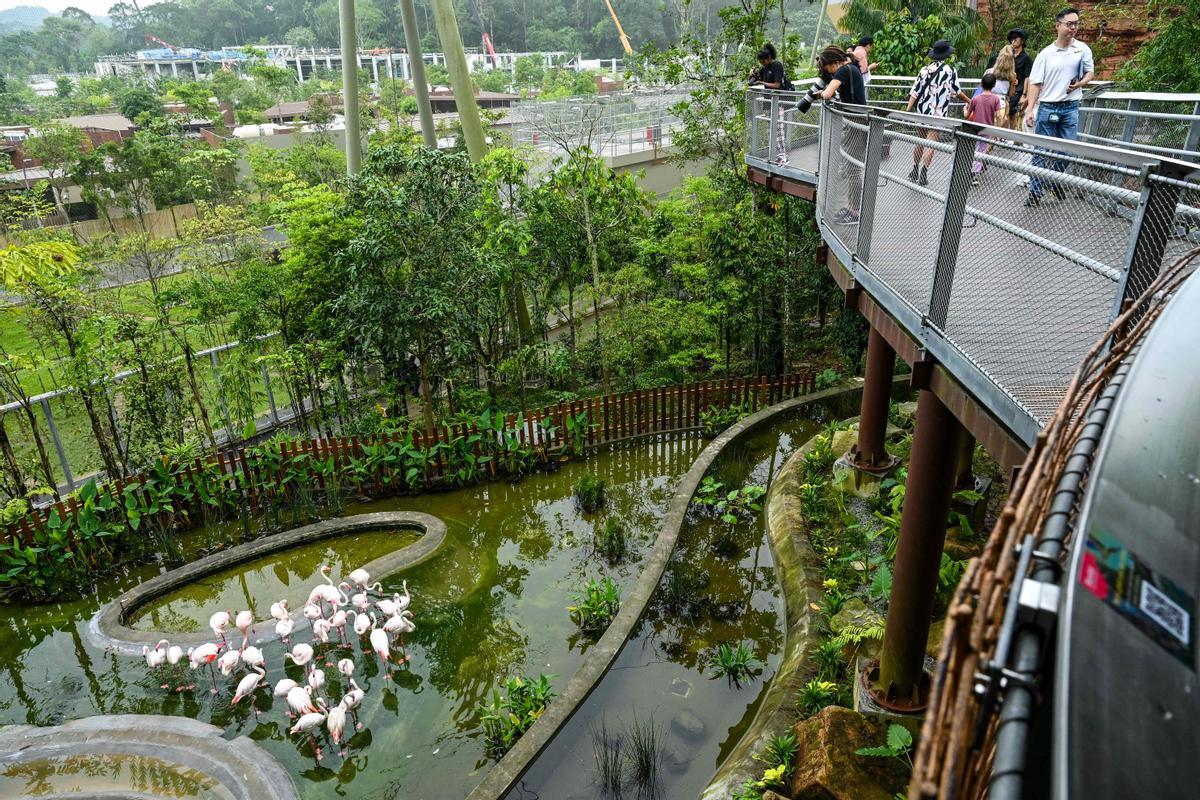 Singapur estrena el parque Paraíso de los pájaros